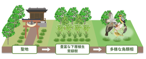 高田先生プレスリリース